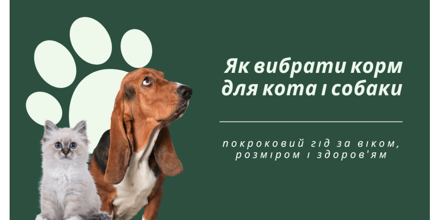 Як вибрати корм для кота чи собаки: гід за віком, розміром і здоров'ям