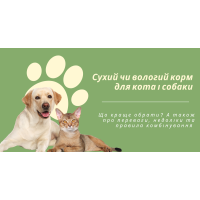 Сухий чи вологий корм для кота і собаки: що краще обрати