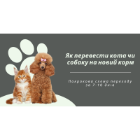 Як перевести кота чи собаку на новий корм без розладу шлунку