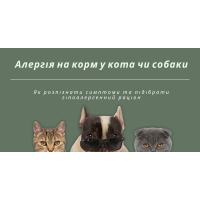 Алергія у кота або собаки на корм: симптоми та гіпоалергенний раціон