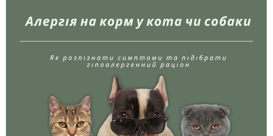 Алергія у кота/собаки на корм: симптоми та як підібрати гіпоалергенний раціон