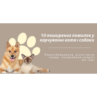 10 поширених помилок у харчуванні кота і собаки: як їх уникнути