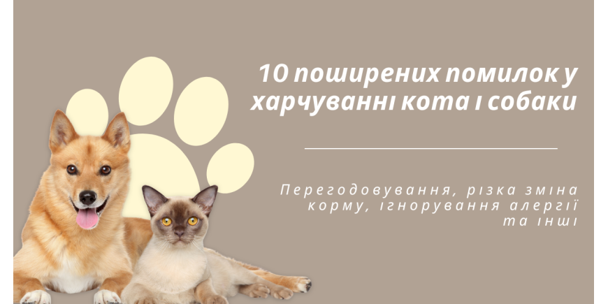 10 поширених помилок у харчуванні кота і собаки: як їх уникнути