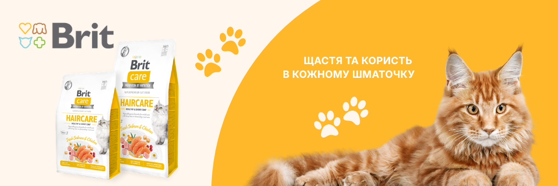 Main Banner